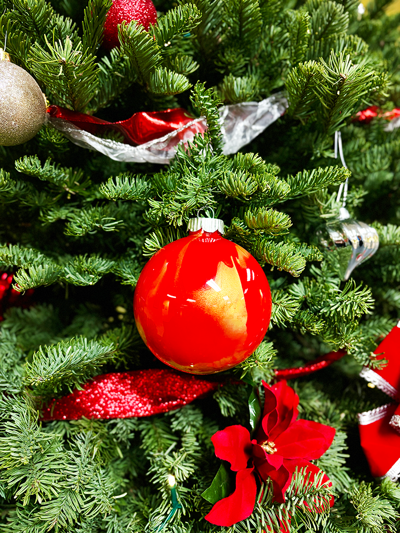 Holiday Ornament